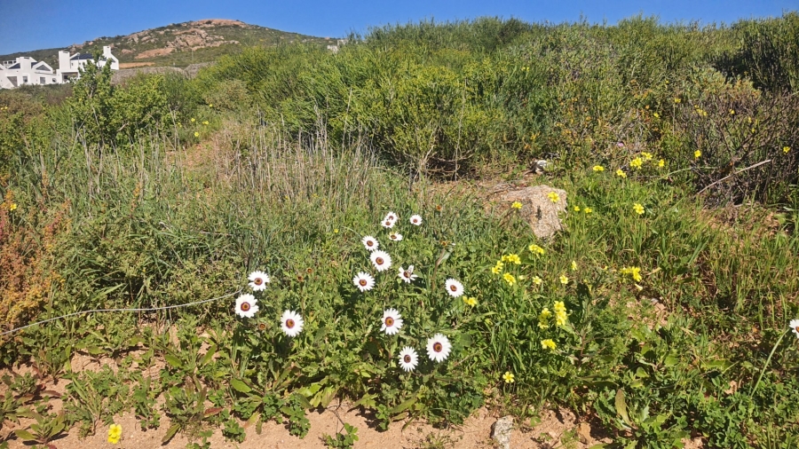  Bedroom Property for Sale in St Helena Views Western Cape